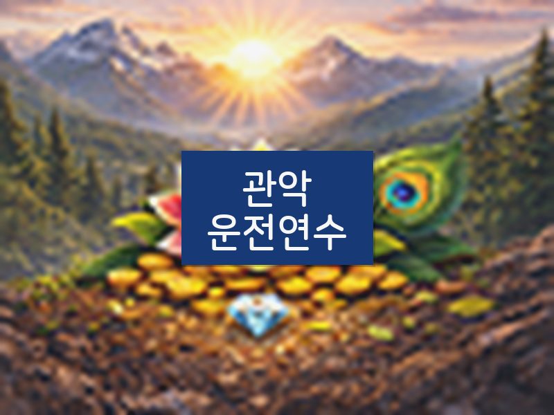 관악운전연수 후기