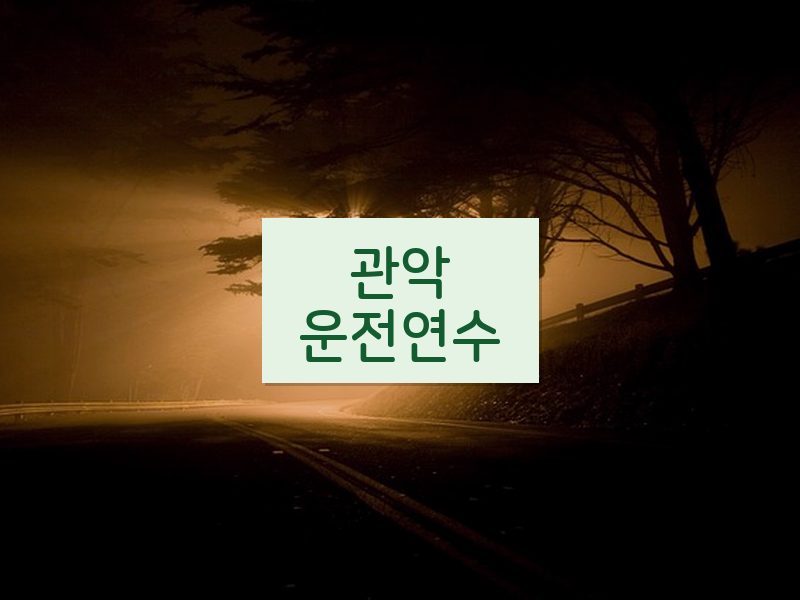 관악운전연수 후기