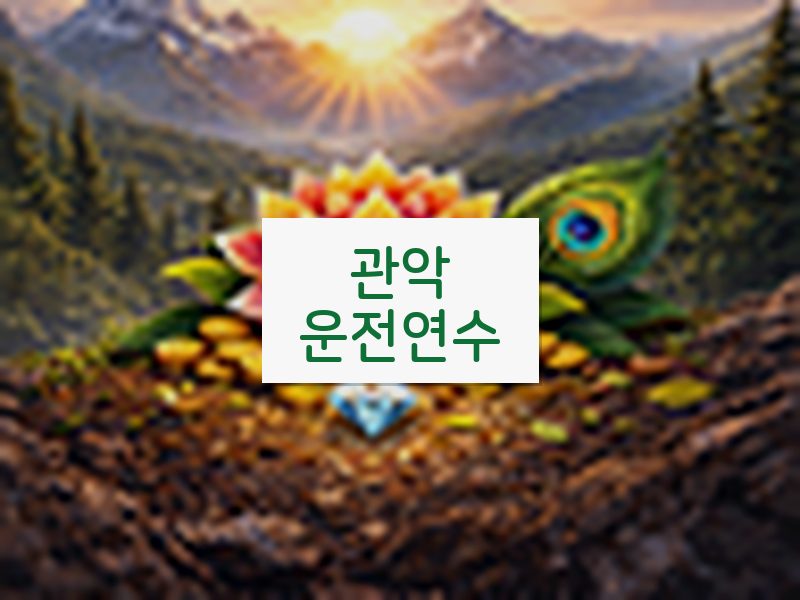 관악운전연수 후기