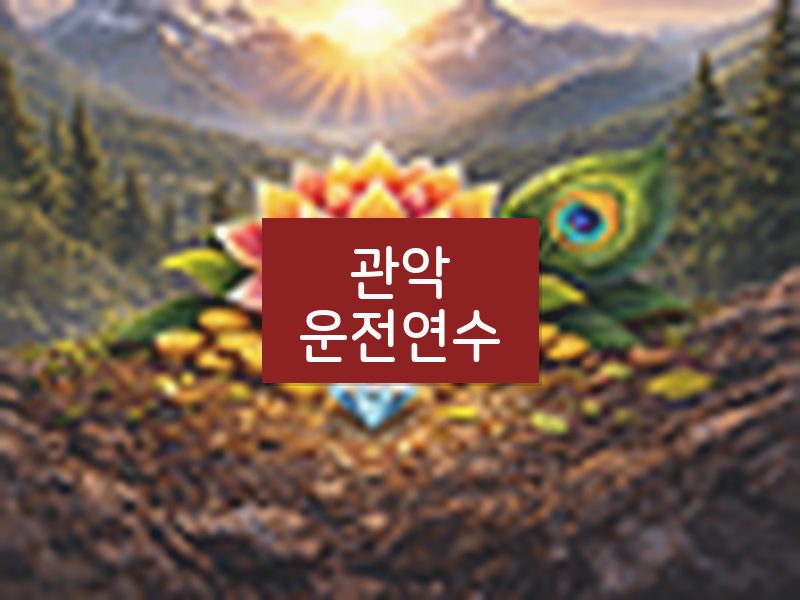 관악운전연수 후기