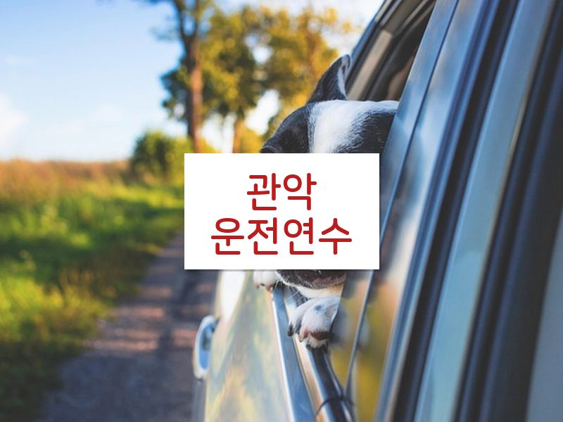 관악운전연수 후기
