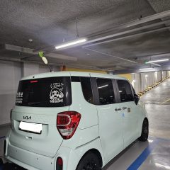 [관악] 운전연수 3일 만에 첫 혼자 장보기 성공 후기