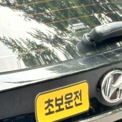 덕이동에서 연수받았어요