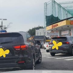 장롱면허 7년 만에 관악 방문운전연수로 탈출한 후기
